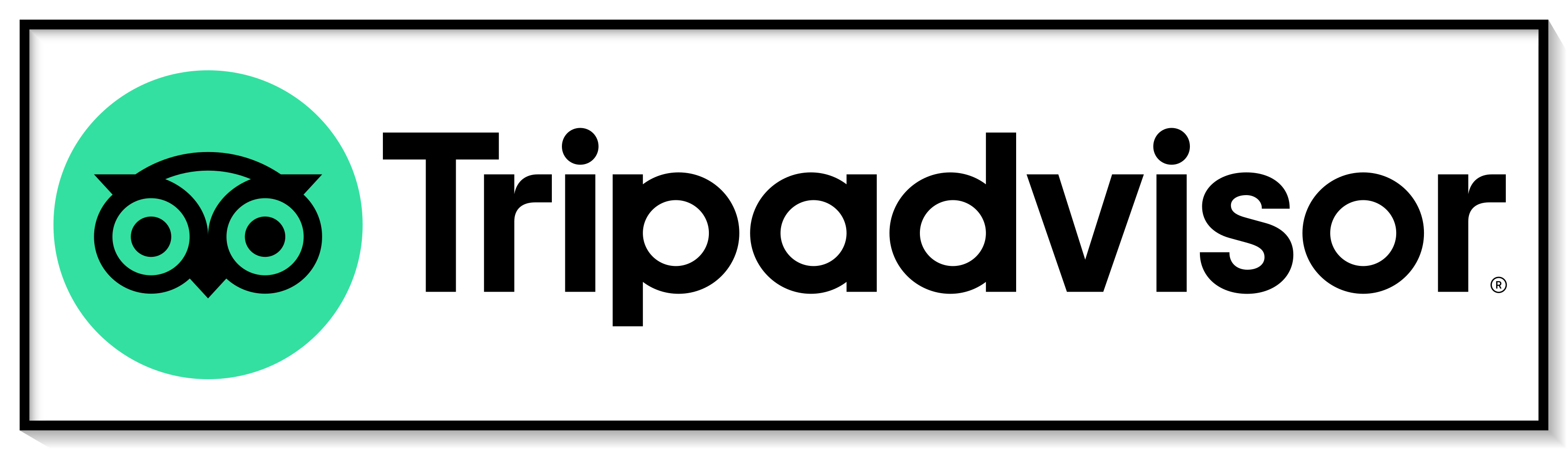 Tripadvisor Logo