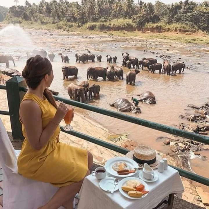 A Pearl Taxi journey moment shared on Instagram
