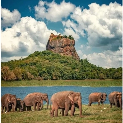 A Sri Lanka journey scene shared by Pearl Taxi on Instagram