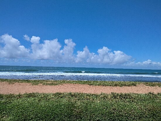 A customer-shared photo from a Pearl Taxi journey in Sri Lanka