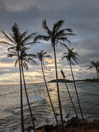 A customer-shared photo from a Pearl Taxi journey in Sri Lanka