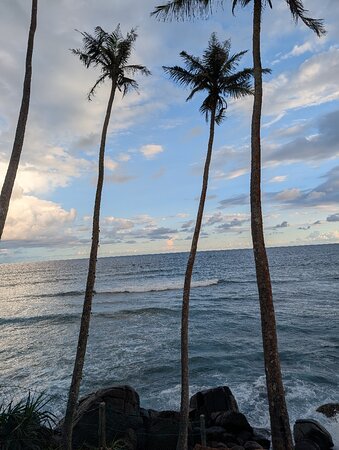 A customer-shared photo from a Pearl Taxi journey in Sri Lanka