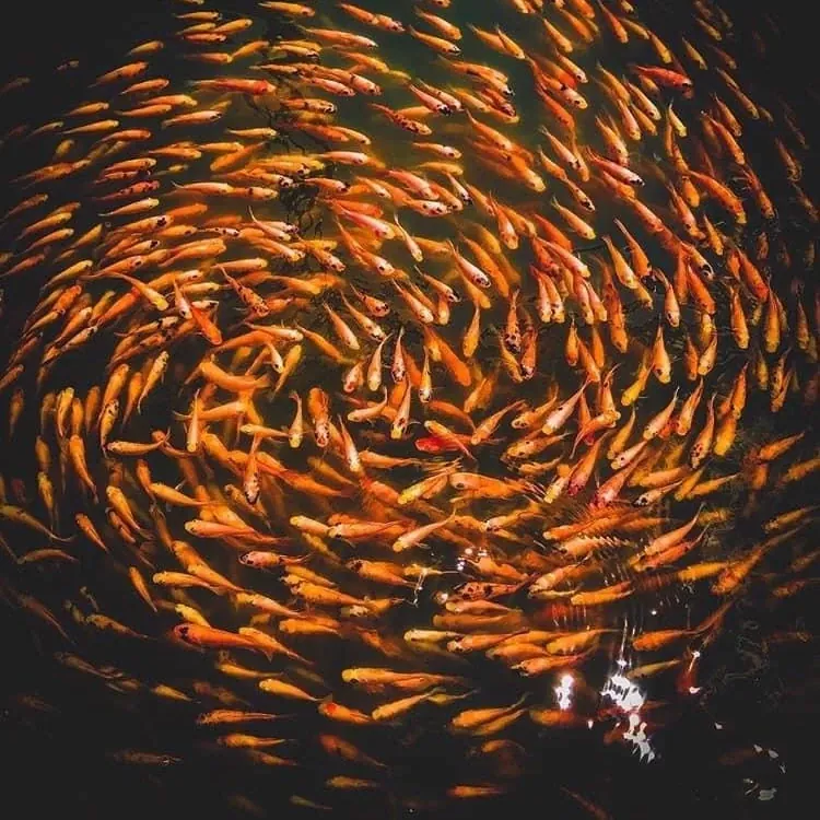 A travel moment shared by Pearl Taxi on Instagram
